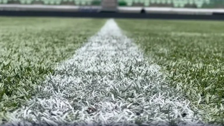 Troca de farpas entre Ceni e Abel reacende polêmica sobre gramado sintético