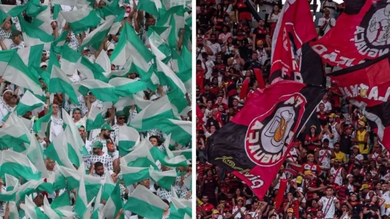 Saiba como o Palmeiras angariou o dobro de sócios-torcedores que o Flamengo