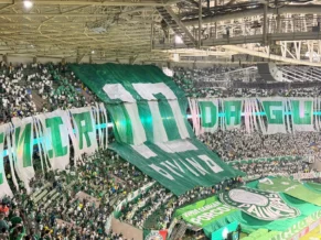 Ademir da Guia é homenageado pela torcida do Palmeiras antes de clássico