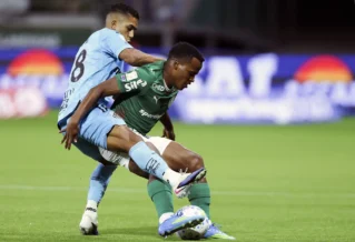 Palmeiras é denunciado no STJD por invasão de campo no Brasileirão
