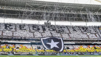 Botafogo anuncia novo diretor-geral da SAF em meio a turbulências